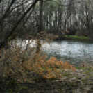 A Szanyi Horgásztó