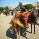 Lovastalálkozó Győrsövényházon