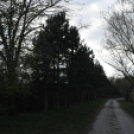 A Szanyi Horgásztó