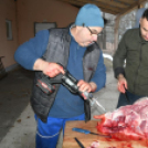 Sertést vágtak a Szany SE. labdarúgói.