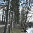 A Szanyi Horgásztó