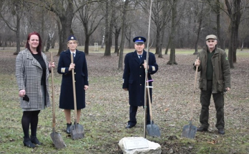 Csornán és Kapuváron is elültették az élet fáját