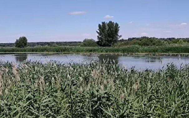 Madármegfigyelés a Nyirkai-Hanyban