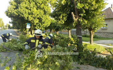 Viharkárok, tűzesetek és balesetek adtak munkát a megye tűzoltóinak a múlt héten