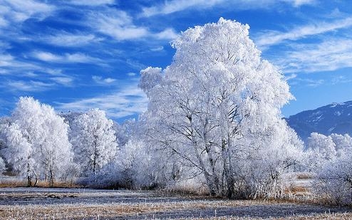 A tél több mint két fokkal melegebb volt a sokéves átlagnál