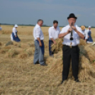 Hagyományos aratófesztivál Szilban