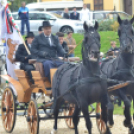 Szeretlek, Kapuvár!