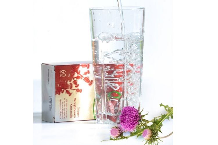 Őszi nagytakarítás – máriatövissel