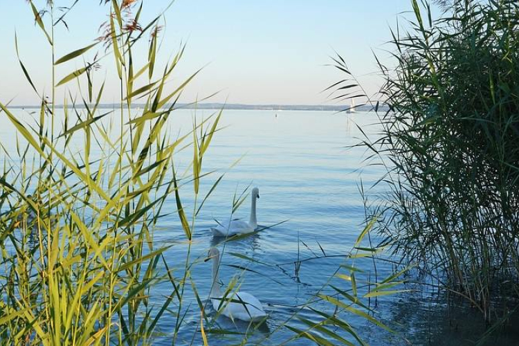 A Balatonba fulladt egy férfi