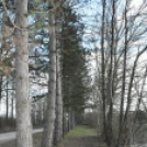 A Szanyi Horgásztó