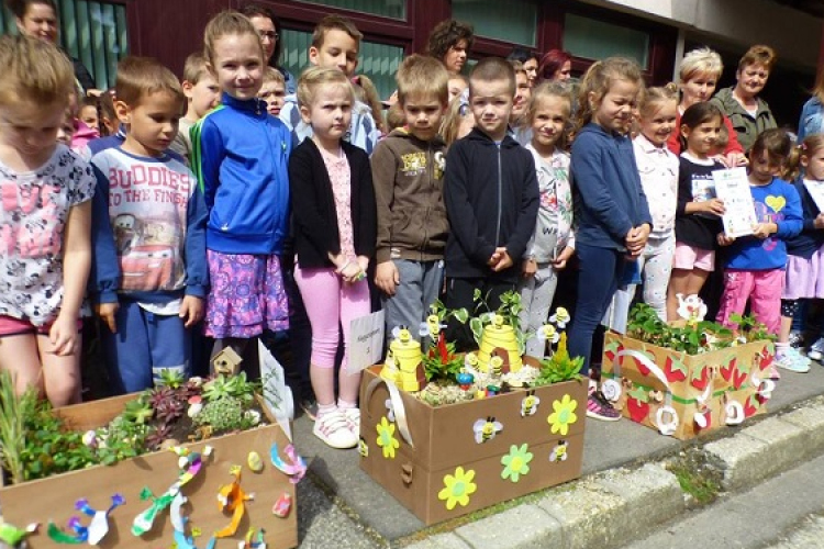 Szavazzon, melyik ovis csoport készítette a legszebb ládakertet!