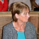 Elsőáldozás Szanyban.