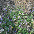 A Szanyi Horgásztó