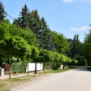 Pünkösdi piknik Rábasebesen. (2026. 05. 23.)