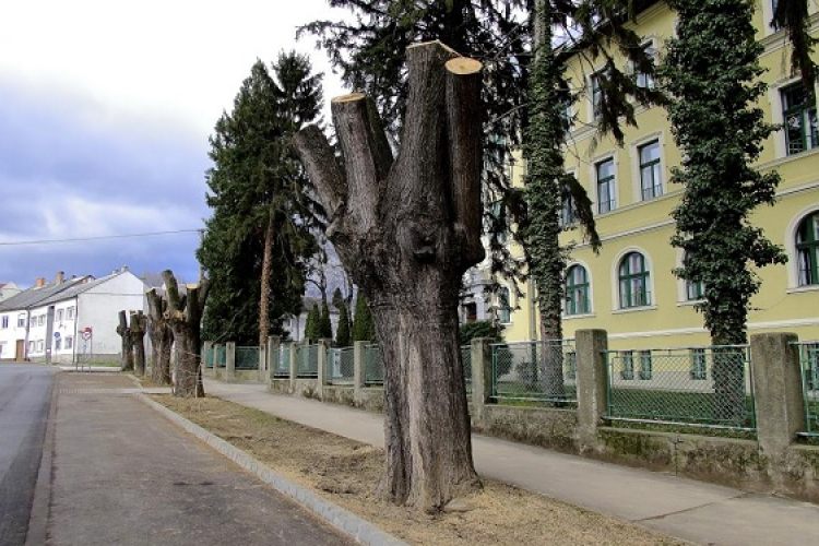 Felújítási munkák természetbarát módon