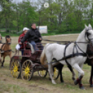 Fogathajtó verseny Bágyogszováton